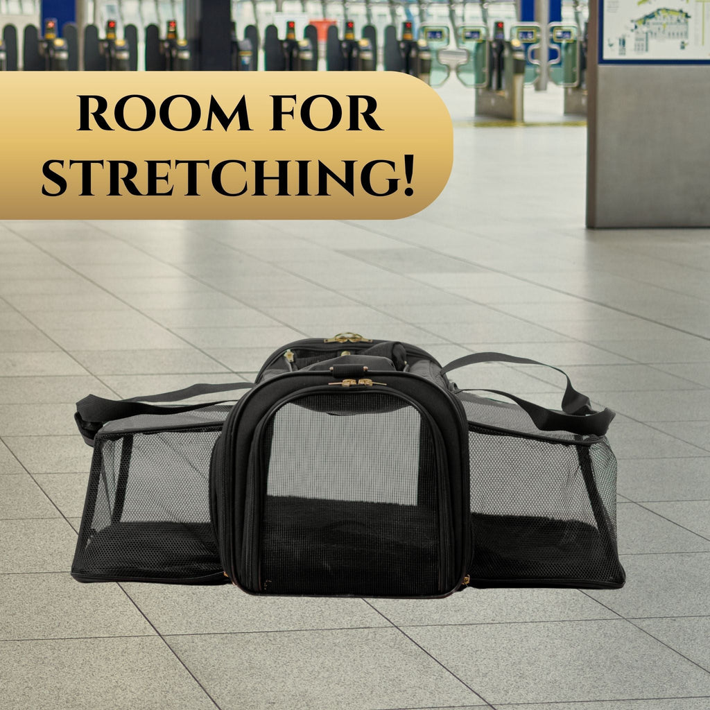 Air Pup Travel Carrier